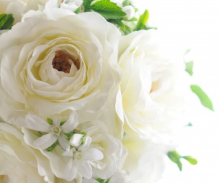 img4309150815201450539