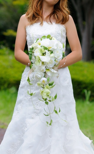 img0408342818201423629