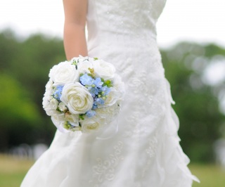 img3308322315201484597