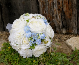 img3408532315201445267