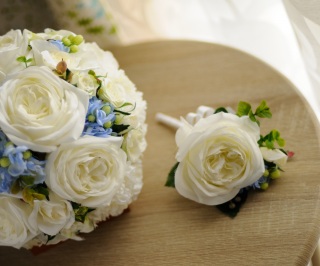 img530841231420144257