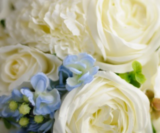 img5408002314201427410