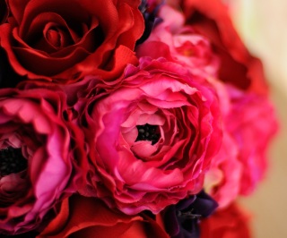 img4908442314201499899