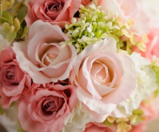 img4208472314201476006