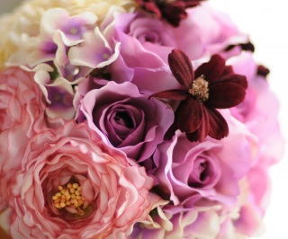 img3708532314201494387