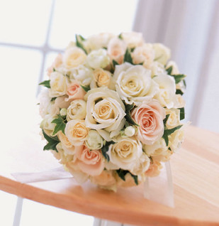 C-1�o�� ���E���h�u�[�P bq0029