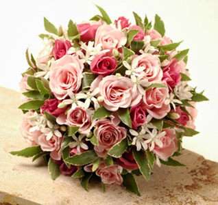 ���E���h�u�[�P