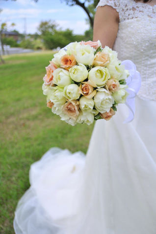 �o���̃��E���h bq0036