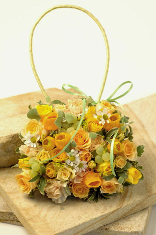 �o�b�N�u�[�P [9]