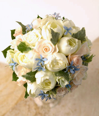 ���E���h�u�[�P[1]