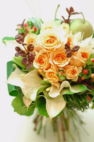 �N���b�`�u�[�P