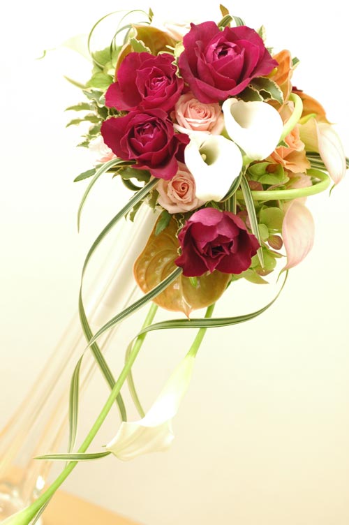 �L���X�P�[�h�u�[�P