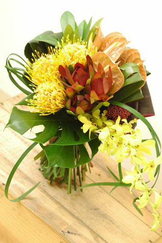 �N���b�`�u�[�P