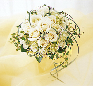 �o�� ���E���h�u�[�P