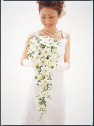 ���[�`�����X �L���X�P�[�h�u�[�P