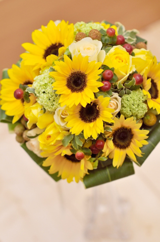 �Č��聙�Ђ܂��u�[�P[8]