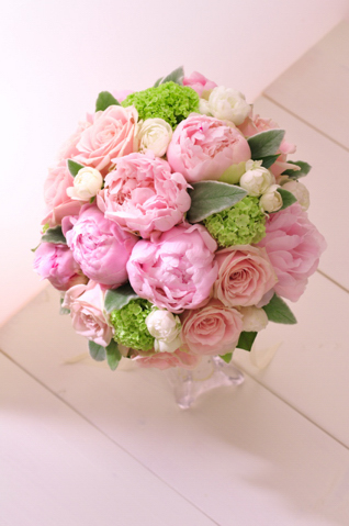 5�����聙 䉖�̃u�[�P