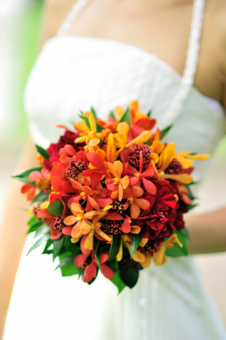 �����ɒ��ځ����J�� ���E���h�u�[�P