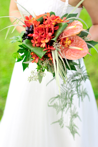 �����ɒ��ځ� ���J���N���b�`�u�[�P