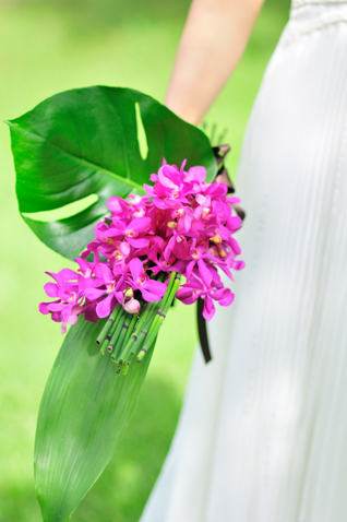 �����ɒ��ځ� �A�[���u�[�P