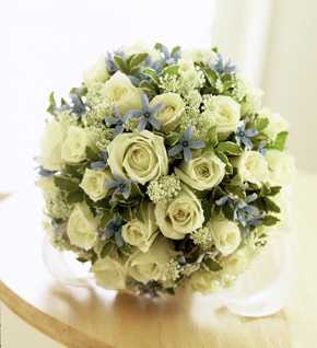  ���o�����E���h�u�[�P[1]