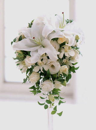 d-1 �����̃I�[�o���u�[�P bq0146