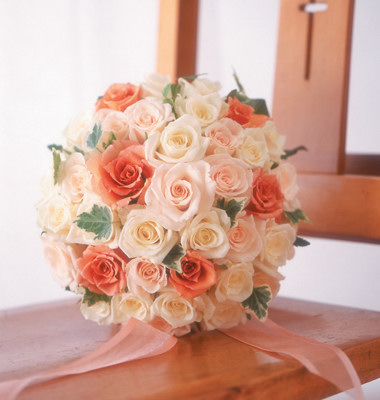 a-4 �o�����E���h�u�[�P bq0149