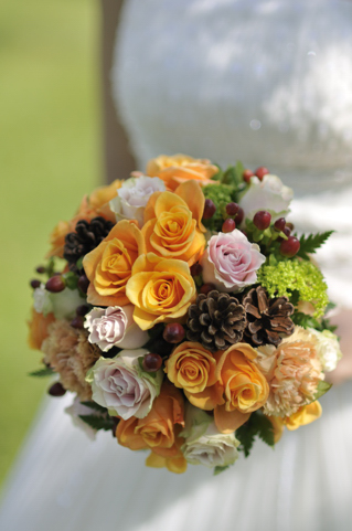 �N���X�}�X���u�[�P bq0151