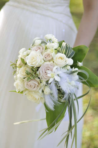 ���N���b�`�u�[�P