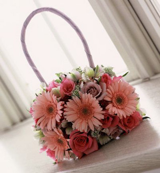 C-9 �o�b�N�u�[�P bq0155