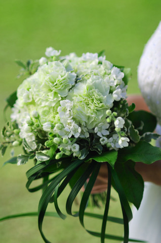 D-2�F�z���C�g�X�^�[�N���b�`�u�[�P