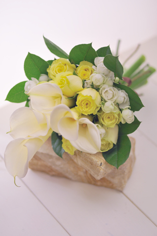 �J���[ �A�[���u�[�P