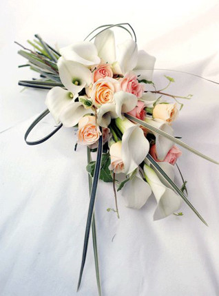 C-10 �A�[���u�[�P