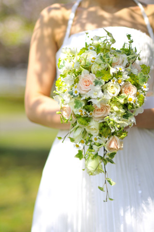 ���Ăɂ������� �i�`������ �I�[�o���u�[�P