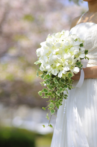 �O���[���A�����W���������āA�A���E���h�u�[�P bq0177