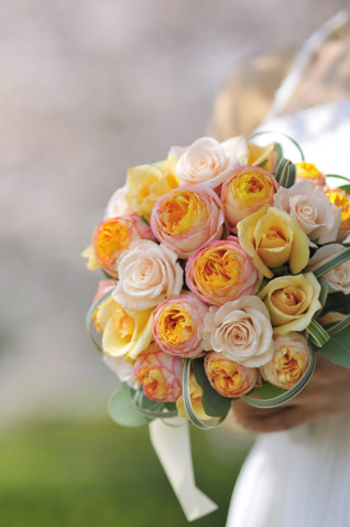 �O���[���A�����W���������āA�A���E���h�u�[�P bq0178