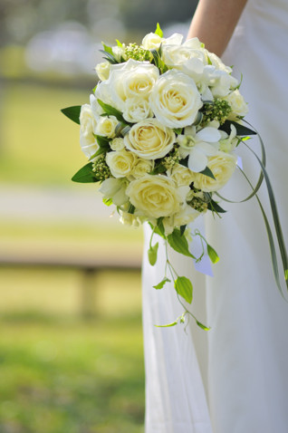 �אg�̃h���X�ɁE�E ���E���h�u�[�P bq0183