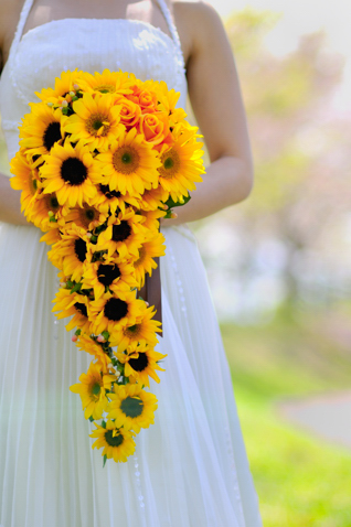 �_�C�i�~�b�N�Ȃ��Ԃ������� �L���X�P�[�h�u�[�P[8]