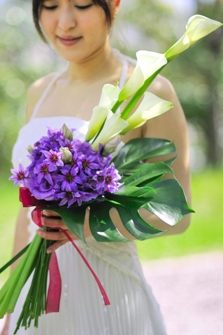 �a�� �A�[���u�[�P