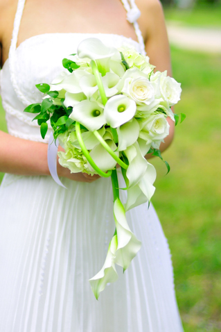 �J���[�̑�l�i�`�������ȃL���X�P�[�h�u�[�P