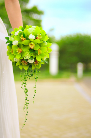 �V���s�W���[�� ���E���h�u�[�P