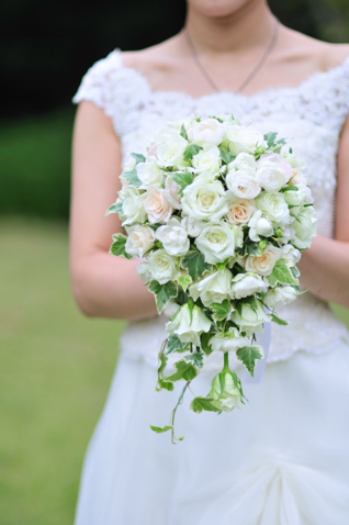 �o���I�[�o���u�[�P bq0243