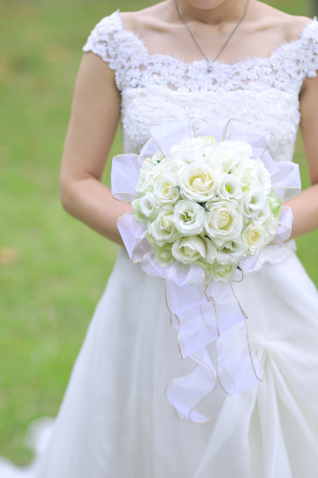 �o�� �u�[�P bq0246