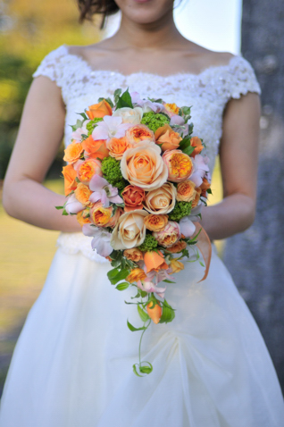 �I�����W�o���I�[�o���u�[�P