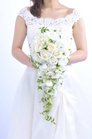  �o���L���X�P�[�h�u�[�P bq0265