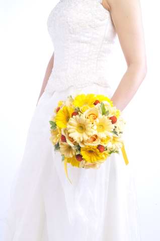 ���F�K�[�x���u�[�P bq0267[4]