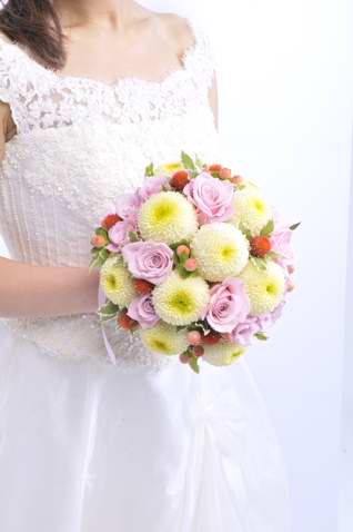 g-4 �s���|���}�� ���E���h�u�[�P bq0273