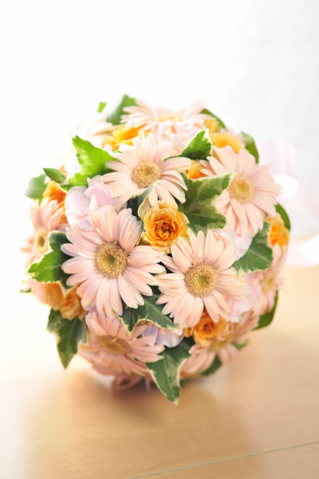  �K�[�x�����E���h�u�[�P�i���܂����s���N+�I�����W�j