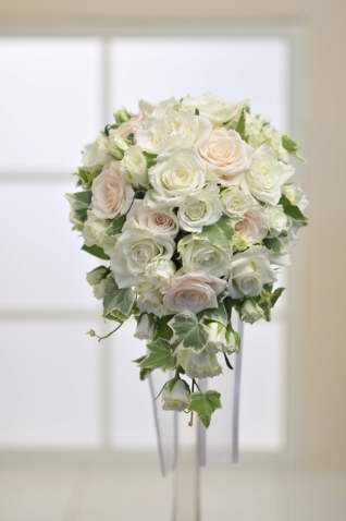 �o���I�[�o���u�[�P