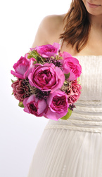 �s���N�o�� ���E���h bq0361